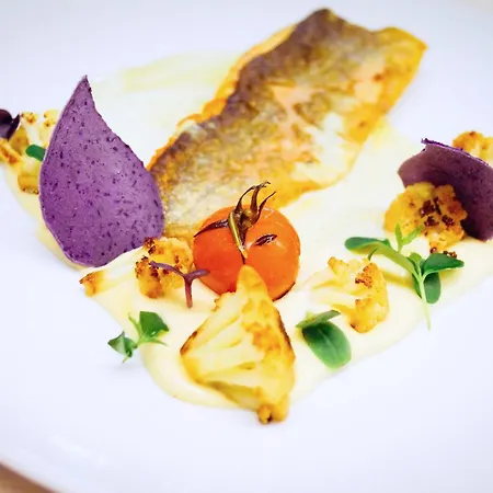 Gerbe 4* Friedrichshafen