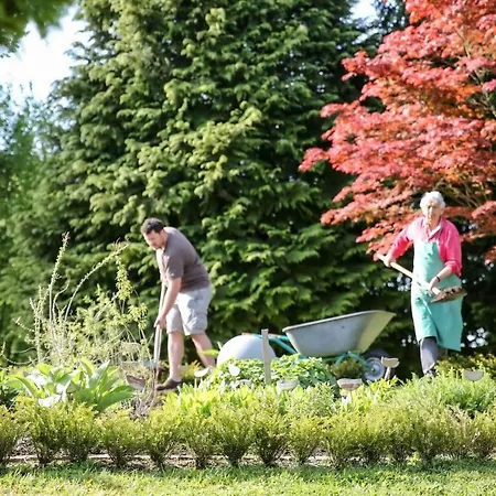 Hotel Gerbe Friedrichshafen