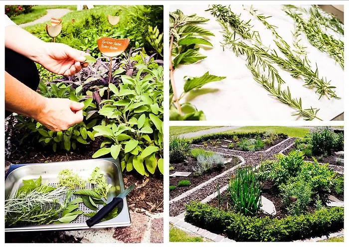 Gerbe Hotel Friedrichshafen